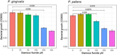 Stannous fluoride forms aggregates between outer and inner membranes leading to membrane rupture of Porphyromonas gingivalis and Prevotella pallens
